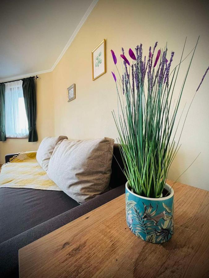 The Green Guest House Of Veliko Tarnovo-Amazing View, Top Location Bagian luar foto